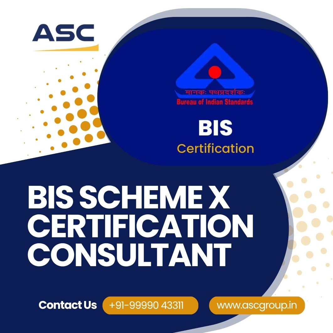 BIS scheme x consultant