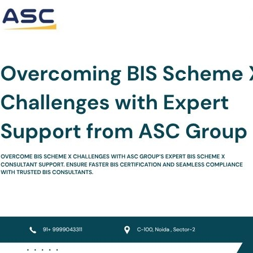 BIS Scheme X Consultant